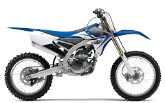 Model Image