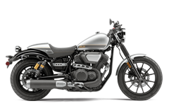 Model Image