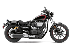 Model Image