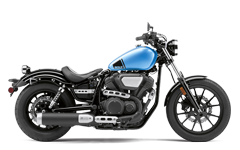 Model Image