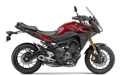 Model Image