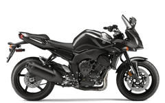 Model Image