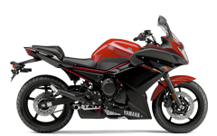 Model Image