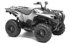 Model Image
