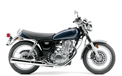 Model Image