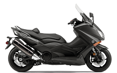 Model Image