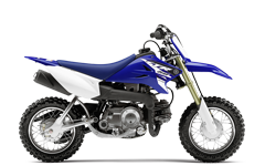 Model Image