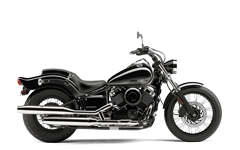 Model Image