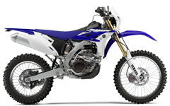 Model Image