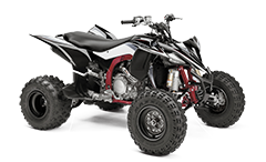 Model Image