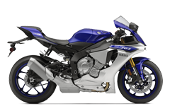 Model Image