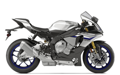 Model Image