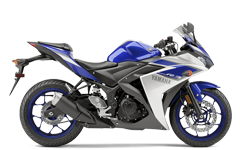 Model Image