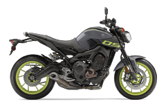 Model Image