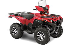 Model Image