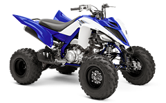 Model Image