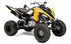 Model Image