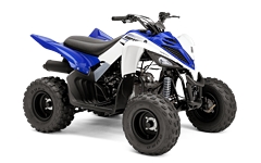 Model Image
