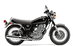 Model Image