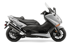 Model Image