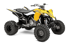 Model Image