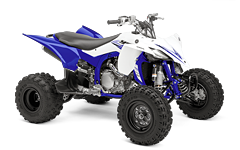 Model Image