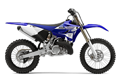 Model Image