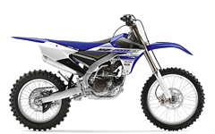 Model Image