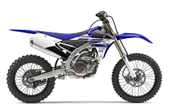 Model Image