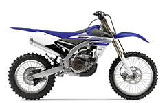 Model Image