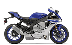 Model Image