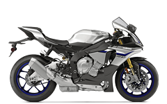 Model Image
