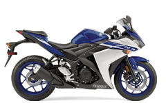 Model Image
