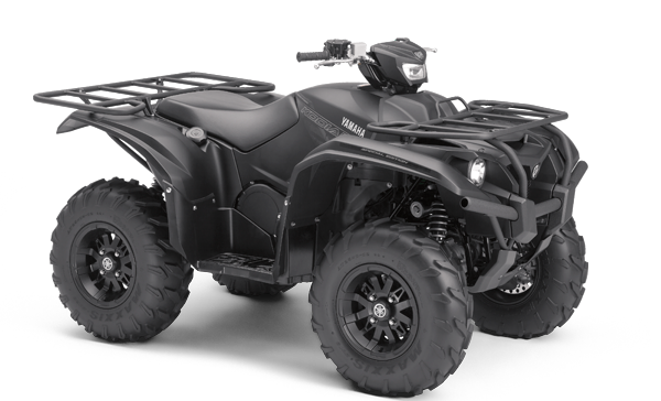 Model Image