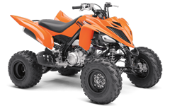 Model Image