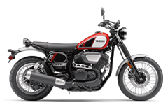 Model Image