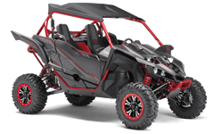Model Image