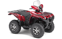 Model Image