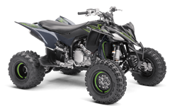 Model Image