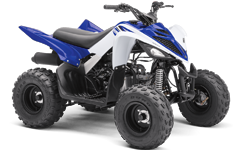Model Image