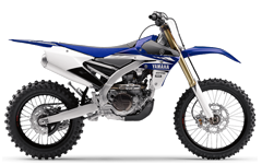 Model Image