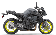 Model Image