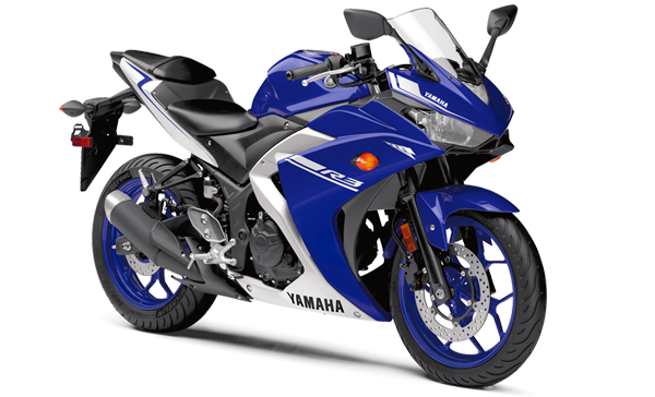 Model Image