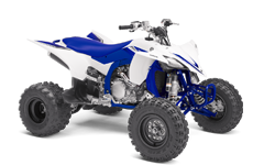 Model Image