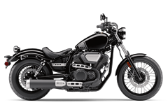 Model Image