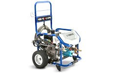 Model Image