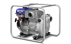 Model Image